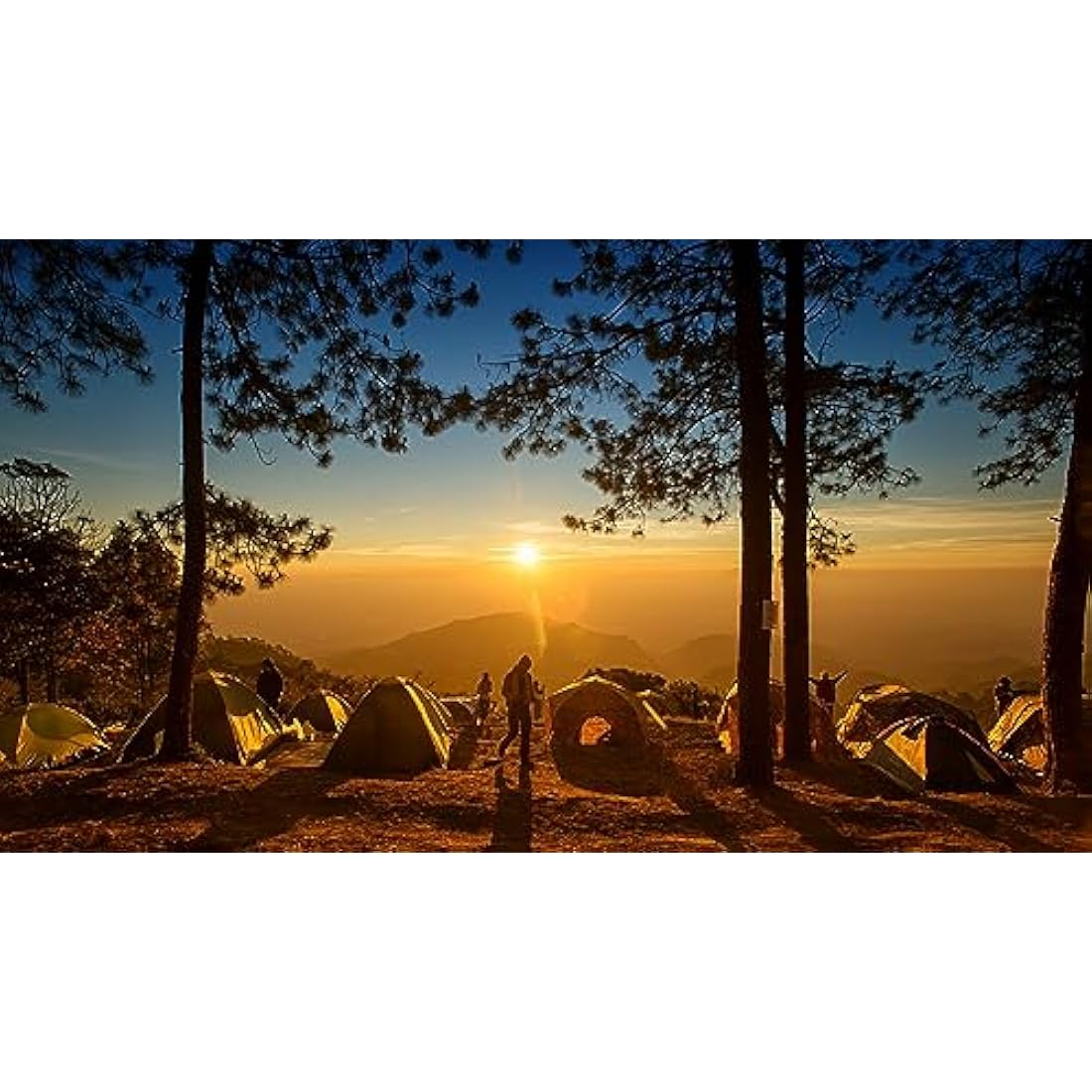 Abio Paracord 550 4 mm 100 m Nylon Rope Cord Nylon Cord for Bracelets Guy Ropes Camping Rope Washing Line Masonry Cord Tent Cord for Army Netting Survival Kit Equipment Black #016 4 mm 100 m