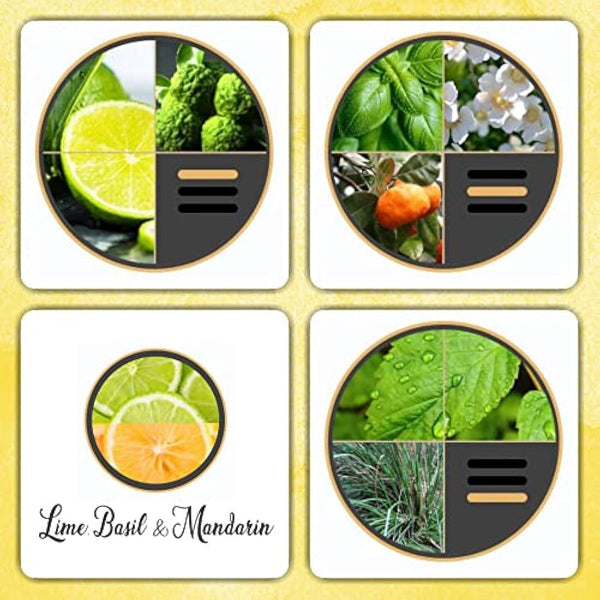 Luxx Creations - Hand Soap & Body Wash 250ml (Lime, Basil & Mandarin) - Highly Fragranced, Free from SLS, Vegan Friendly