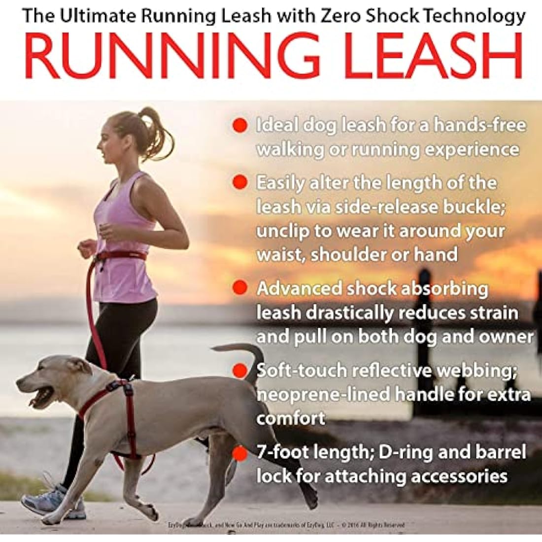 EZYDOG Road Runner Lead - Comfortable Padded Handle, Reflective Thread, 1.8M (Grey) for Small, Medium & Large Dogs