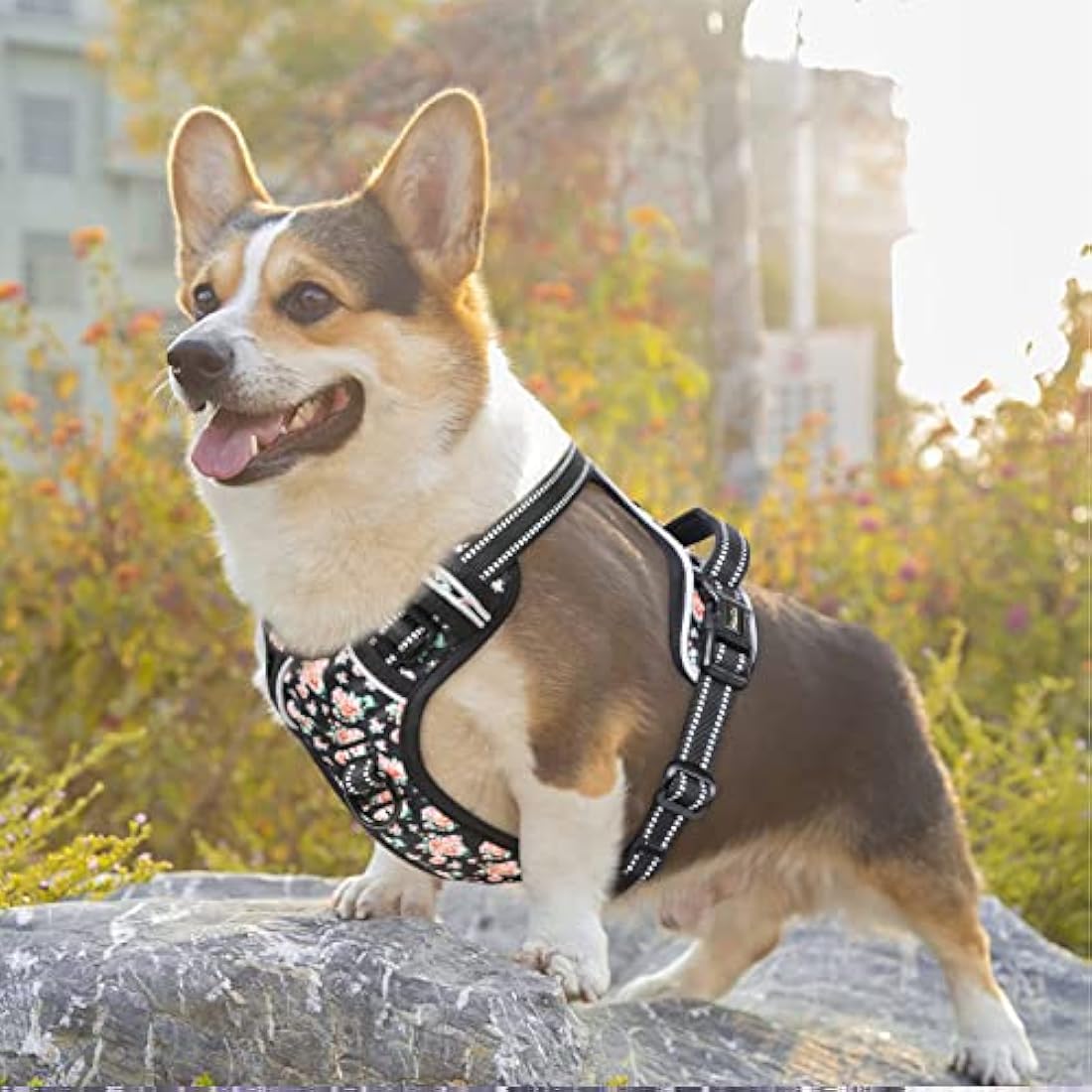 HEELE Dog Harness, No Pull Dog Harness Small, Release on Neck, Front Back Clips Dog Vest Harness Reflective Adjustable Padded Breathable, Easy Control Handle for Walking Training, Floral-Black, XS