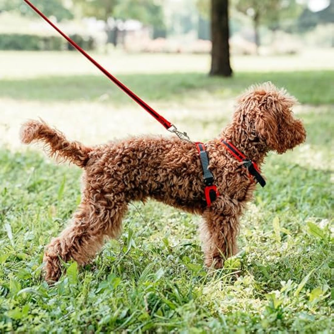 Ferplast Small Size Dog Harness ERGOCOMFORT EXTRA SMALL, Adjustable Dog Harness, Comfortable, Padded, Double Micro-adjustment Closure, Quick Release, Red