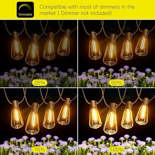 Torkase Garden String Lights, 18M/60FT IP54 Waterproof LED Festoon Lights Outdoor, Indoor Outdoor ST38 String Lights for Garden, Yard, Wedding, Christmas, Backyard, Terrace, Party, Patio(30+2 Bulbs)
