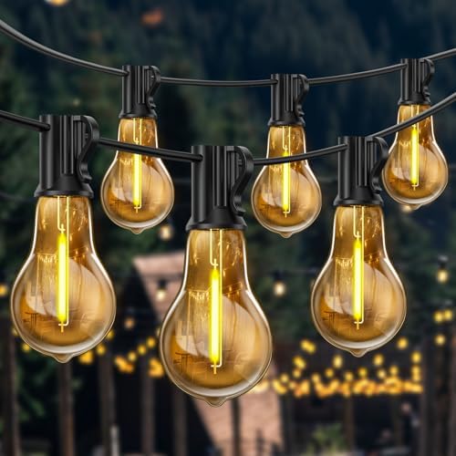 Bestendony 100FT Plug In Outdoor Lights Festoon Light Mains Powered Garden Bulb Lights Outdoor Waterproof with 50+2 Shatterproof Bulbs Outside Hanging Decorative Light for Garden, Porch, Gazebo, Party