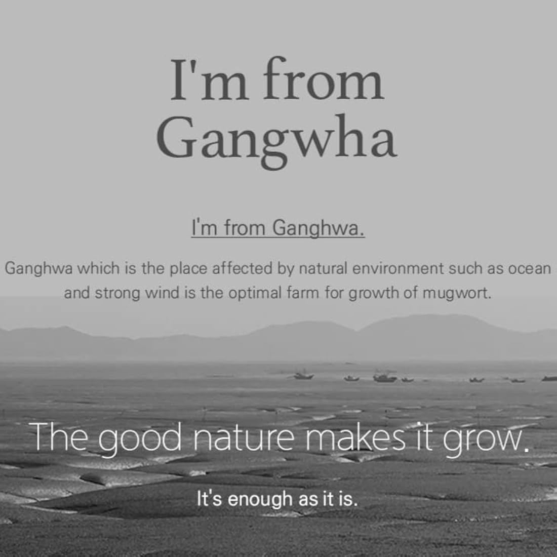 I'm from Mugwort Mask 3.88 fl oz | Natural Herb, Tea tree, Wash-off, Cooling and fast Soothing Breakouts, for Sensitive skin