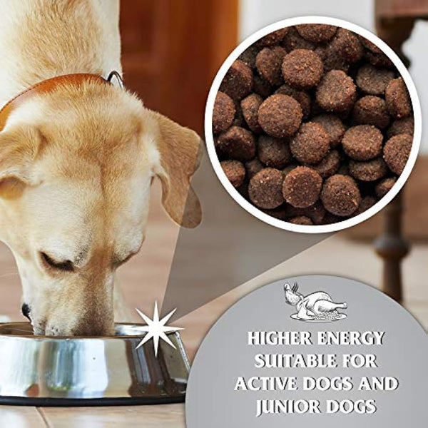 Dr. John Titanium Complete Dry Dog Food 15kg - Chicken, Vegetables and New Zealand Green-Lipped Mussel - Complete Nutrition for Active Adult and Junior Dogs