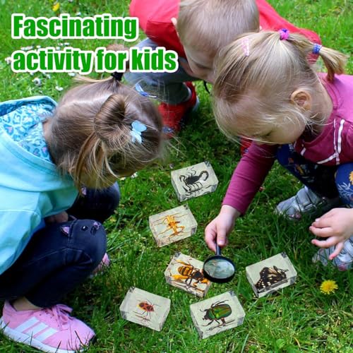 48 Styles Insect in Resin Specimen, Bugs Collection Paperweights Animal Specimen for Kids Bug Preserved in Resin for Scientific Education Office Desk Christmas Display Supplies