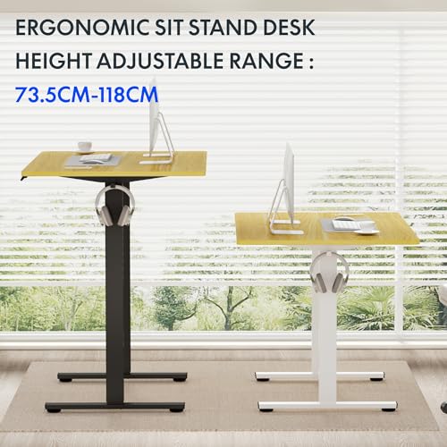 FLEXISPOT ONE PIECE Electric Standing Desk Height Adjustable Sit Stand Up Desk for Home Office with Memory Smart Pannel (100 * 60cm Black Frame+ Black Desktop)