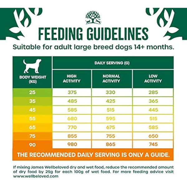 James Wellbeloved Adult Large Breed Turkey & Rice 15 kg Bag, Hypoallergenic Dry Dog Food