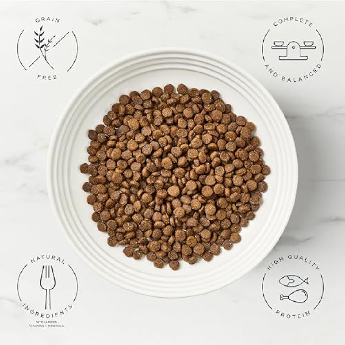 Encore High Protein Complete and Grain Free Dry Cat Food for Adult Cats, Chicken 2.4kg