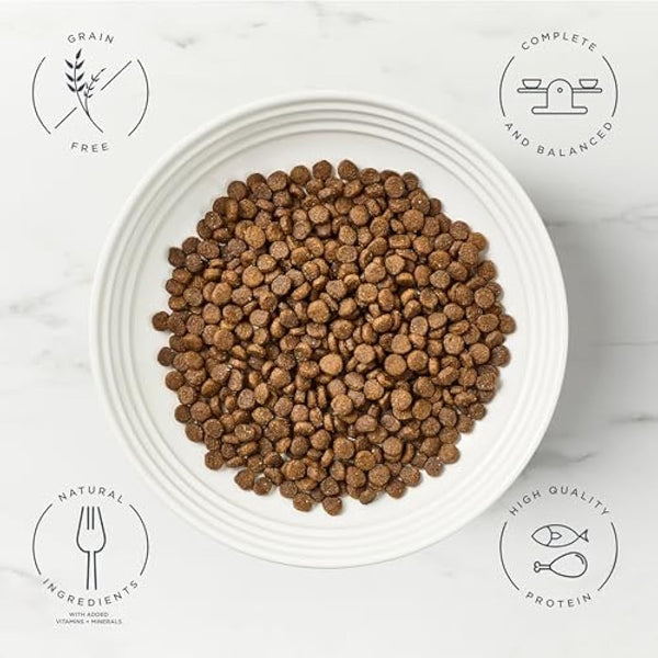 Encore High Protein Complete and Grain Free Dry Cat Food for Adult Cats, Chicken 2.4kg