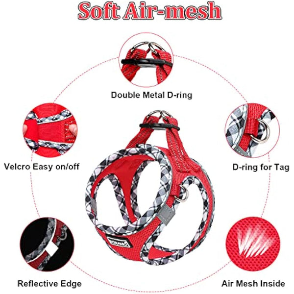 DORAMIO Step-in Dog Harness and Leash Set, Soft Mesh No-Chock Reflective Breathable Easy Walk Lightweight Vest Harnesses with Safety Buckle for Small Dogs, Cats, Puppies (Red, XL)
