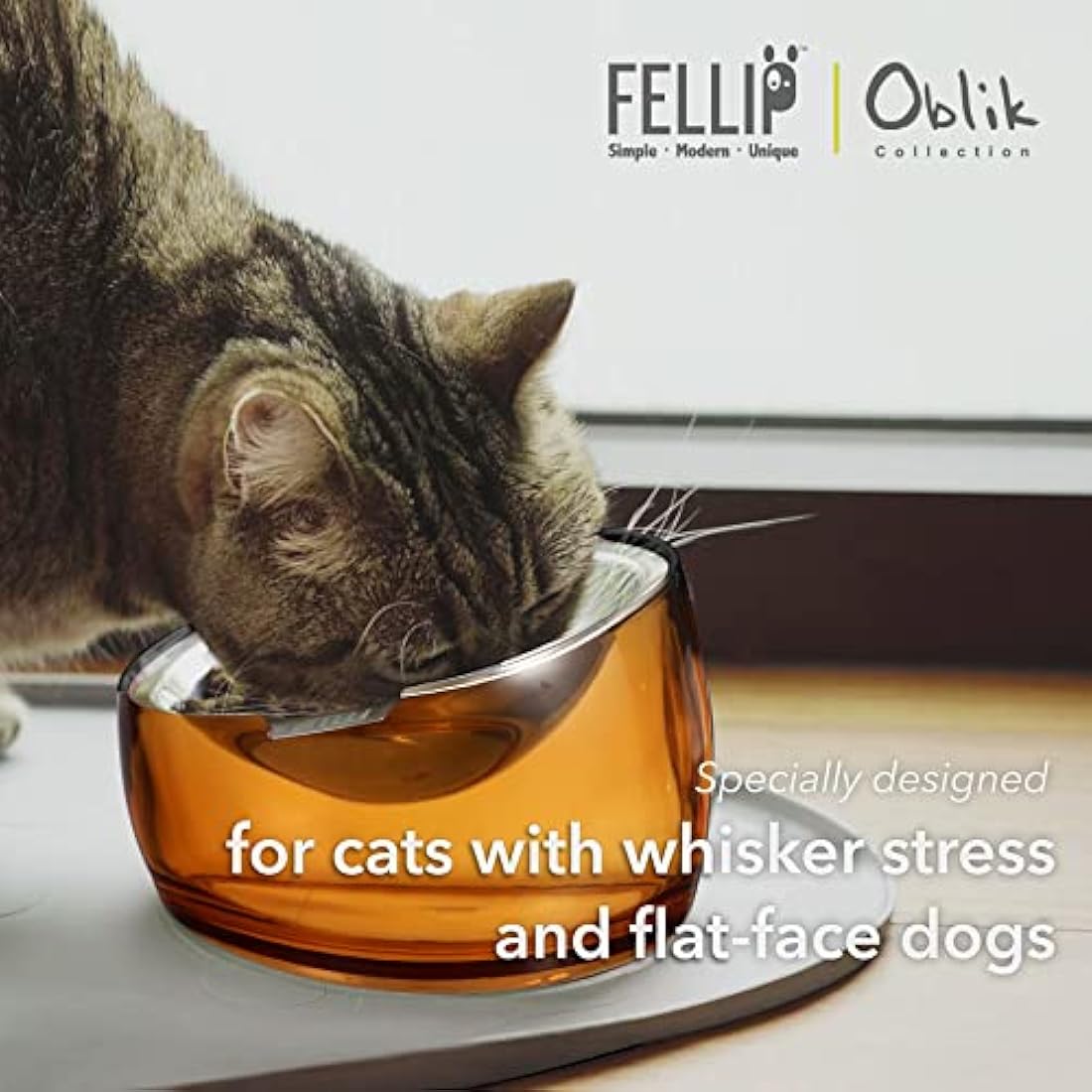 Felli Pet Whisker Stress Friendly Raised Angled Cat Wet Food Bowl Stainless Steel Shallow Dish Tilted, Anti Vomit, Slanted Feeding Plate Metal Elevated Acrylic Flat Faced Dog (0.5 Cups, Gold)