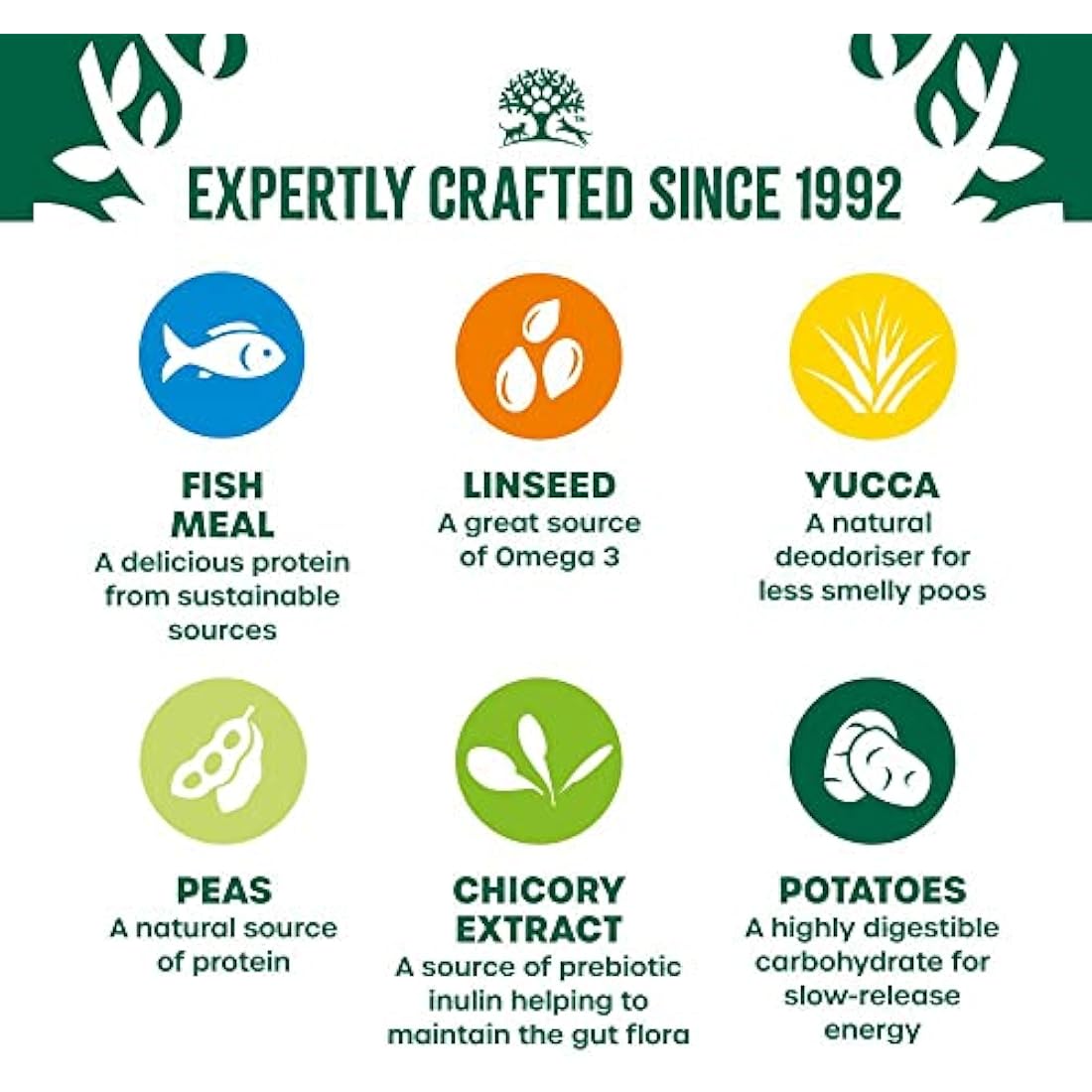 James Wellbeloved Grain Free Adult Fish and Vegetables 10 kg Bag, Hypoallergenic Dry Dog Food