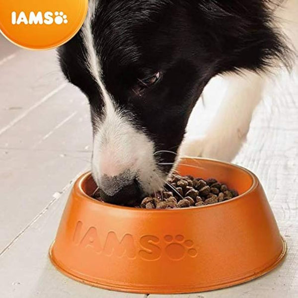 Iams For Vitality Senior Dog Dry Food With Fresh Chicken, 2kg