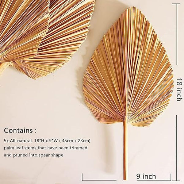Dried Palm Leaves 5Pcs 18" Large Natural Trimmed Palm Spear Tropical Palm Leaves Fans Boho Wedding Decor Hawaiian Luau Party Holidays Kitchen Table Dried Flowers Pampas Grass Decoration