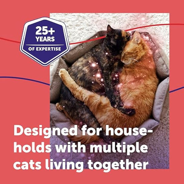 FELIWAY Friends 30 Day Cat Calming Plug In Pheromone Diffuser Starter Kit, 48ml - Helps create harmony and resolve conflict in multi cat households, Veterinary Recommended, Clinically Proven