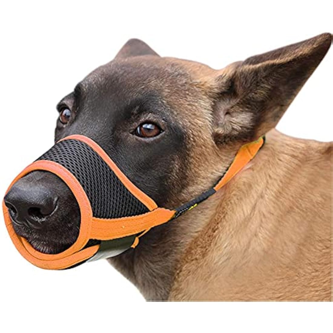 HEELE Dog Muzzle with Adjustable Straps Dog Muzzles to Prevent Biting Barking and Accidental Eating Muzzle for Small Dog (Black-Orange, S)