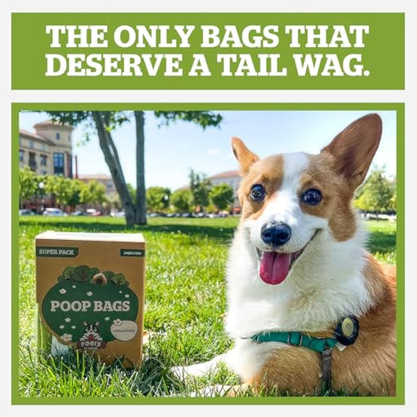 Pogi’s Dog Poo Bags with Handles – Extra Thick, Leak-Proof, Large, Fresh Scented, 900-Count