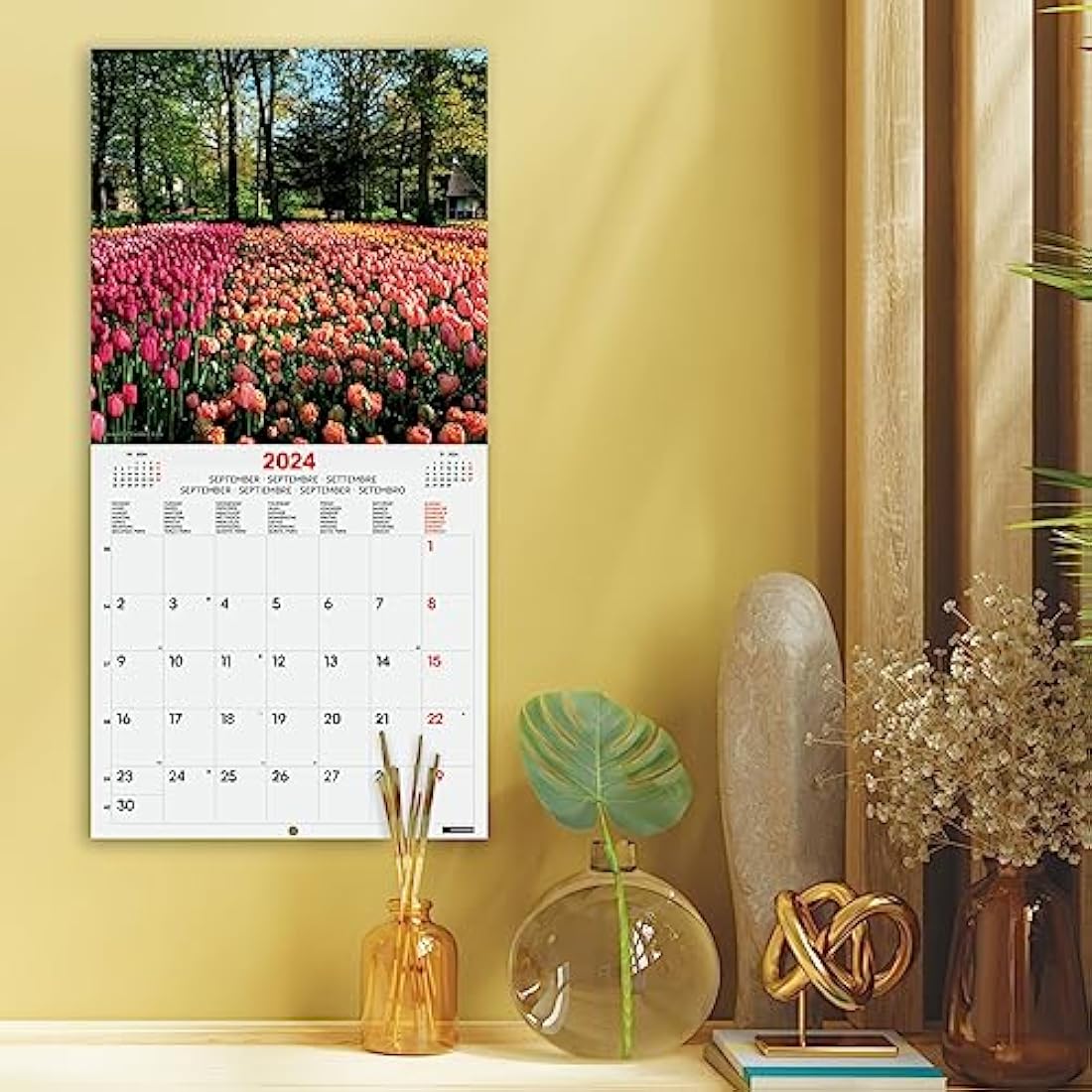 Finocam – Parks International Wall Photo Calendar 2024 January 2024 – December 2024 (12 months)