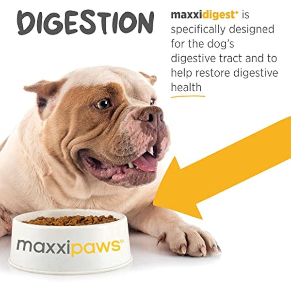 maxxipaws maxxidigest+ Probiotic & Prebiotic Powder Supplement - Digestive & Immune Support for Dogs, 200g