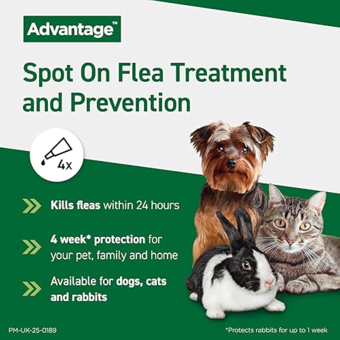 Advantage Spot On Flea Treatment For Large Cats and Rabbits Over 4kg (4 pipettes, 80mg), Kills Fleas Within 24 Hours, Prevents Further Infestation For Up To Four Weeks in Cats