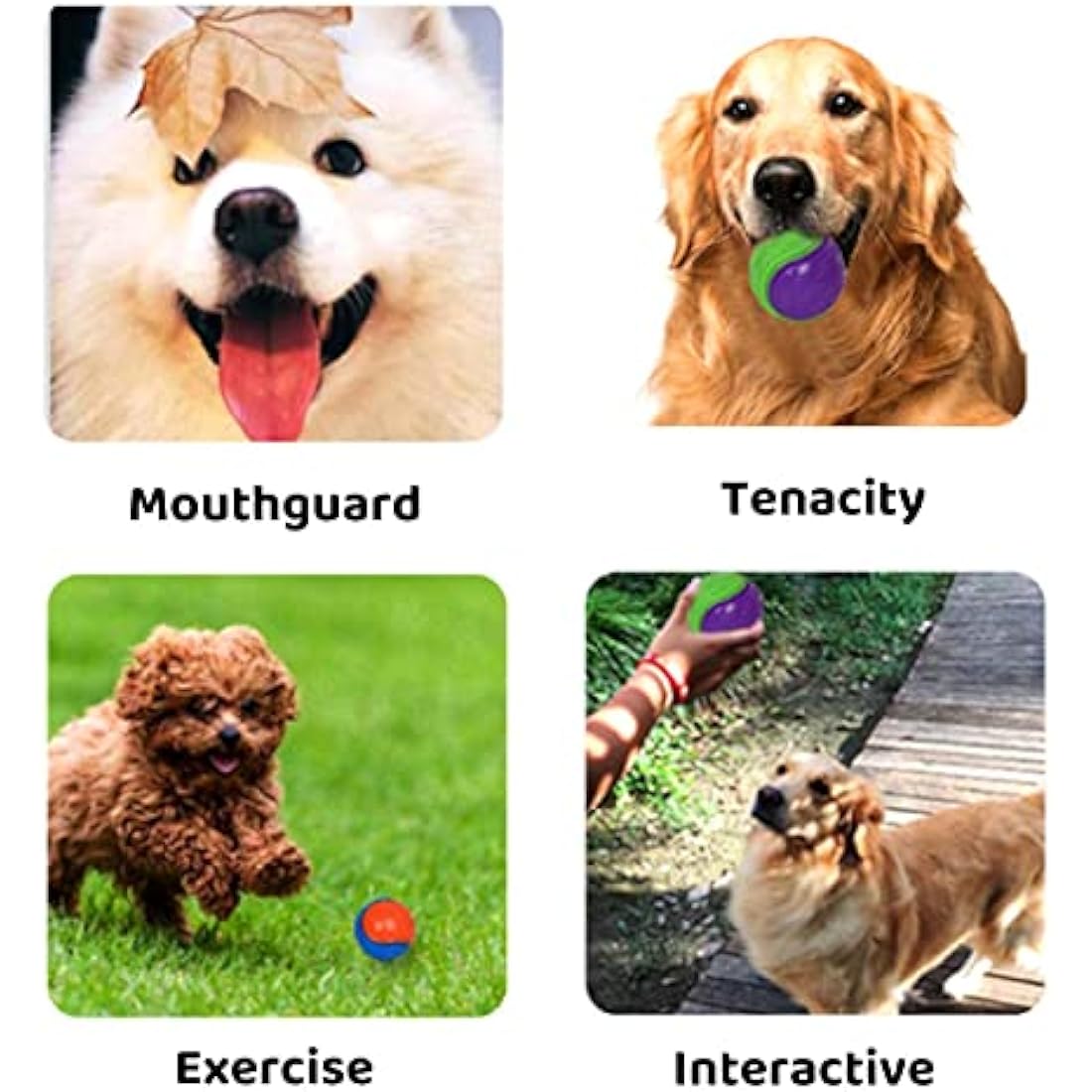 3Pcs Squeaky Dog Ball, Dog Toys Teeth Cleaning Puppy Chew Toys Pet Training Ball Dog Interactive Dog Ball