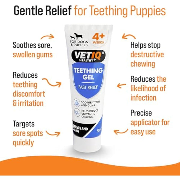 VETIQ Fast Pain Relief Teething Gel With Applicator, Relieves Irritation & Helps Reduce Unwanted Chewing For Dogs & Puppies 4+ Week, 50 g (Pack of 1)