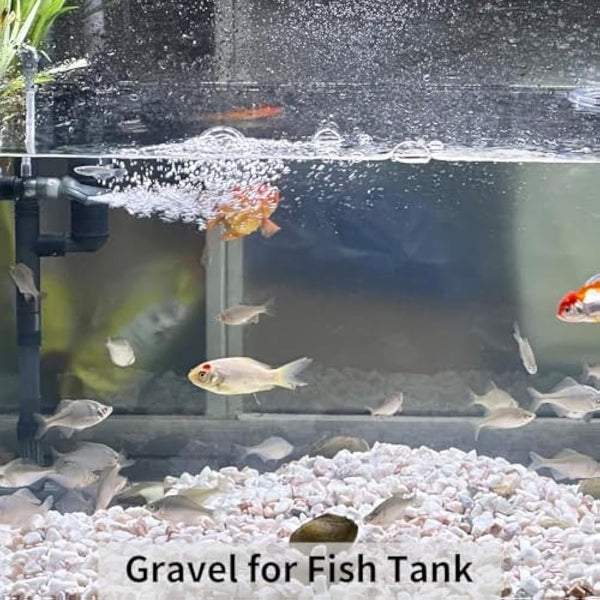 FANTIAN 2lbs Natural White Gravel Pebbles for Garden, 6-9 mm White Stones for Garden Fish Tank Gravel Aquarium Succulent Cactus Vase Landscaping and Outdoor Decorative Stones