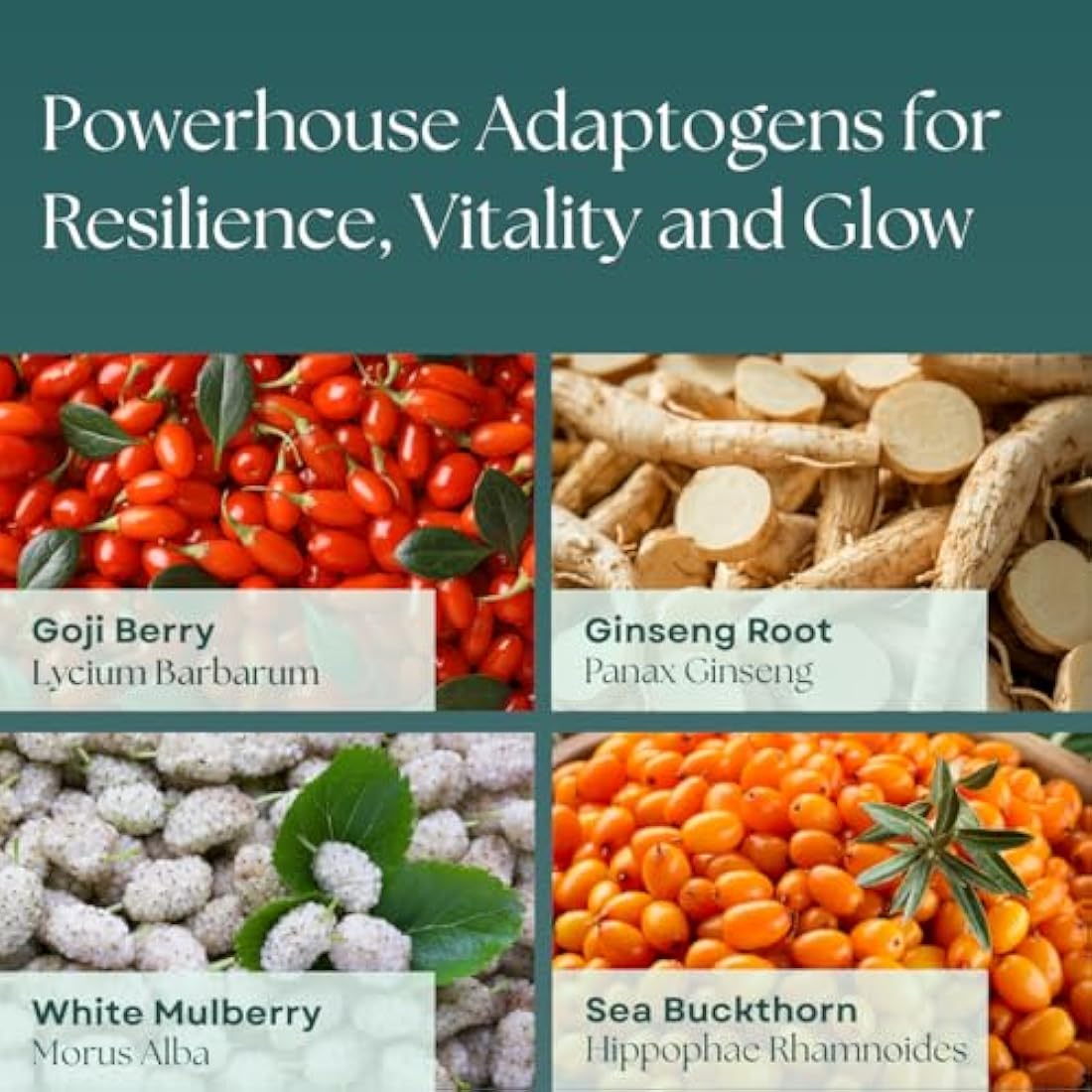 Adaptogenique Daily Radiance Face Serum | Adaptogen-Powered Vitamin C Serum for Women 40+ | Brightens, Hydrates & Firms | With Ginseng, Goji, Sea Buckthorn & Hyaluronic Acid | 30ML