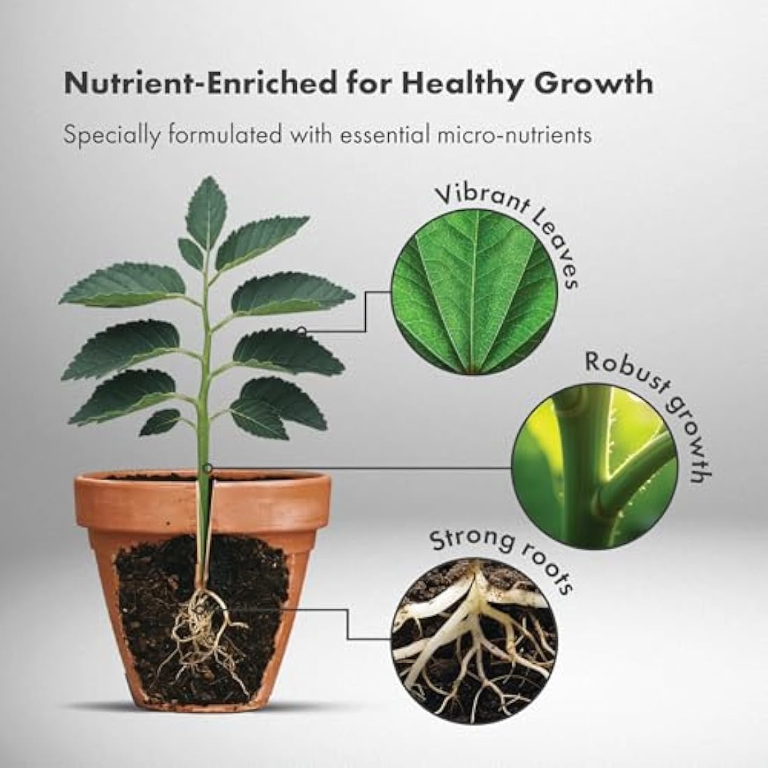 GreenBrokers 12 Packs of 20 Ltr Organic Potting Compost | Peat-Free & Nutrient-Enriched | Expands to 20 Liters | For Indoor & Outdoor Plants | Enhanced with Plant Food