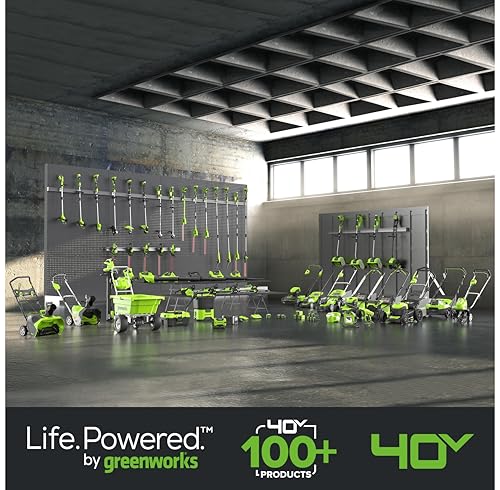 Greenworks 40V Cordless Lawnmower for Lawns up to 500m², 41cm Cutting Width, 50L Bag, Two of 40V 2Ah Batteries & One Charger, 3 Year Guarantee-G40LM41K2X, Green, Black, Grey