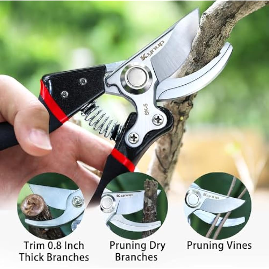 Kynup Secateurs Pruning Scissors, Gardening Pruning Shears, Garden Scissors, Hedge & Garden Shears, Clippers for Plants, Gardening, Trimming, Garden Tool(Black)