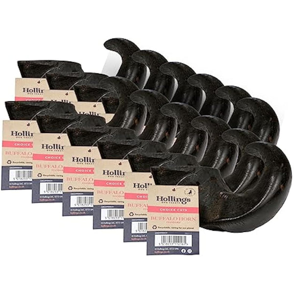 Hollings Buffalo Horn Standard Dog Treat, 100% Natural Grain Free Chew Treat for Adult Dogs, High in Protein and Naturally Low in Fat (12 Pack)