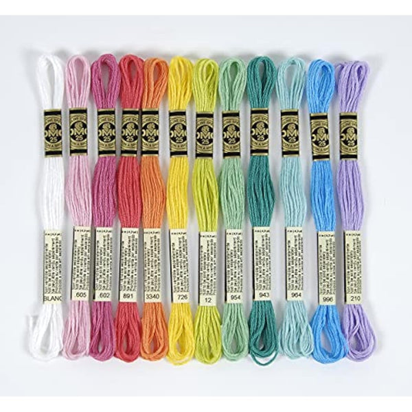 DMC - Assortment of Mouliné Special 117MC Threads – Vitamins & Essentials Colours – 100% Cotton – 2 Packs of 24 Skeins of 4 Metres | Embroidery Thread, Ideal Cross Stitch