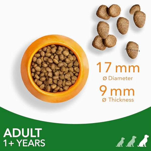 IAMS Adult Large Complete Dry Dog Food Lamb 12kg - With DentalCare System