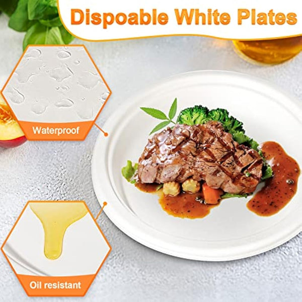 greensight 150 Pack Disposable Paper Plates 10 inch - Eco-Friendly, Sugarcane Strong Large White Plates 100% Biodegradable and Compostable Rigid Dishes for Party BBQ Picnic