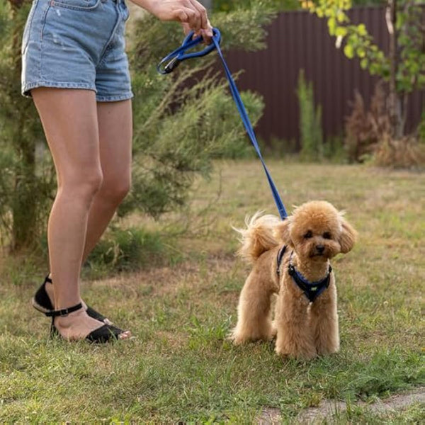 Ferplast Small Size Dog Harness ERGOCOMFORT EXTRA SMALL, Adjustable Dog Harness, Comfortable, Padded, Double Micro-adjustment Closure, Quick Release, Blue