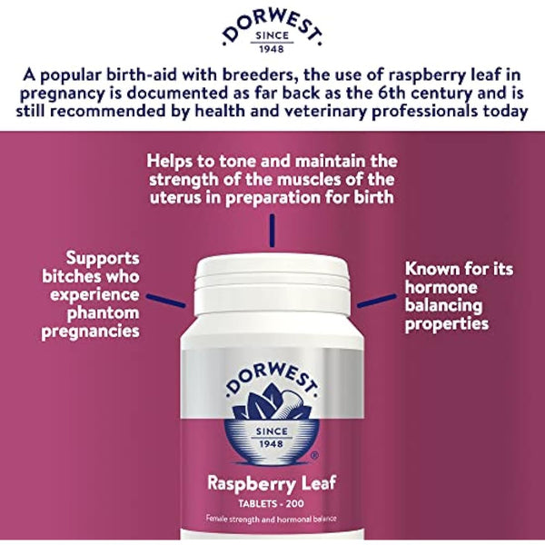 Dorwest Raspberry Leaf Tablets for Dogs And Cats, 200 Tablets, Pregnancy Support For Pets – For Natural Hormonal Balance and Phantom Pregnancies
