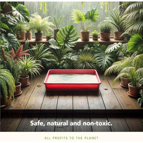 almo nature Cat Litter – Soft Texture | 100% Natural, Plant-Based | Non-Clumping, Non-Clay, Non-Silica | Odour-Free & Robot-Friendly - 4.54kg