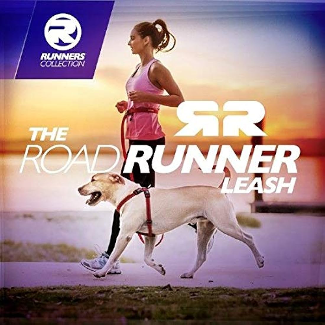 EzyDog Road Runner Dog Leash, Different Colours Available