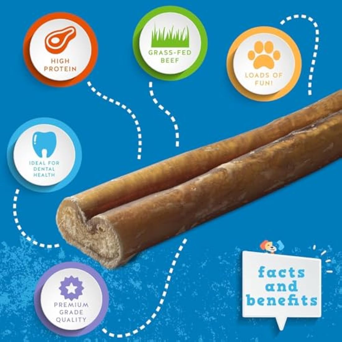 Jack&Pup 30cm Pizzle Sticks for Dogs - (10 Count) Standard Odour Free Bully Sticks - Long Lasting - All Natural - 100% Pizzle Sticks - No Additives