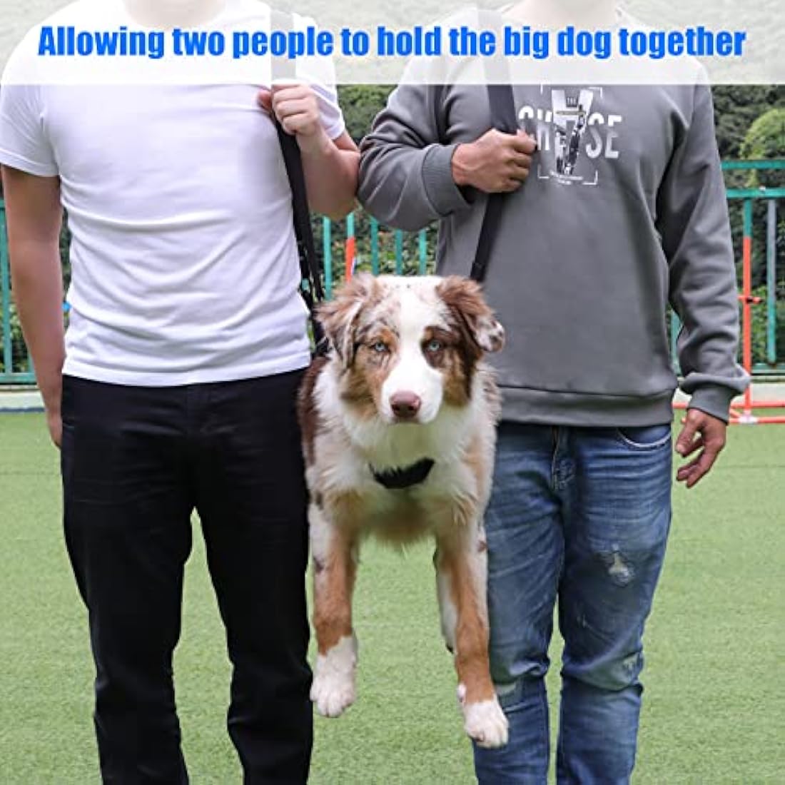 Dog Carry Sling, Emergency Backpack Pet Legs Support & Rehabilitation Dog Lift Harness for Nail Trimming, Dog Carrier for Senior Dogs Joint Injuries, Arthritis, Up and Down Stairs (Blue, XL)