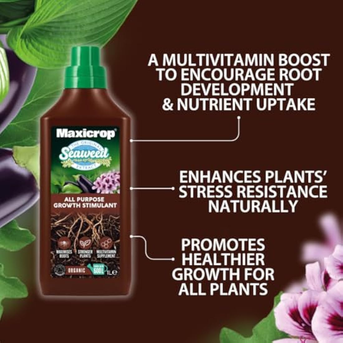 Maxicrop All Purpose Plant Growth Stimulant, 1L - Natural Seaweed Based Liquid Biostimulant - Multivitamin Boost for All Garden Plants - Strong Roots - Healthy Growth - Builds Resilient Crops