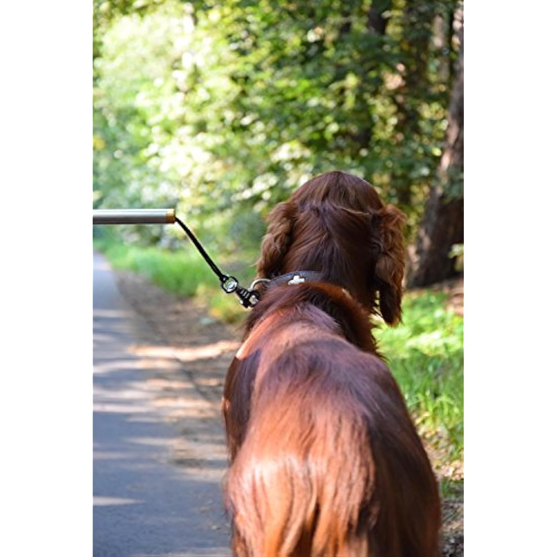 dobar® 62000 Walky Dog Plus Dog Bicycle Lead, Stainless Steel Spacer, Bicycle Holder with Triple Rear Damper, Traction Lead with Quicklock and Spacer, 37.5 cm, Silver