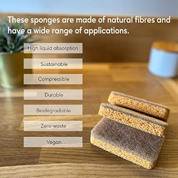eplanita Natural Plant Based Scrub Sponges (6 Pack), Non-Scratch, Biodegradable Eco Scourers for Kitchen and Bathroom