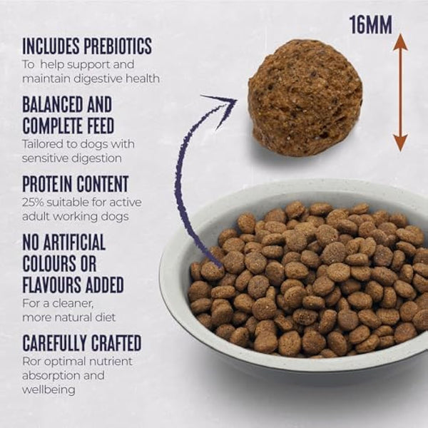 Alpha Sensitive Extra Complete Dry Dog Food Duck and Rice, 15 kg