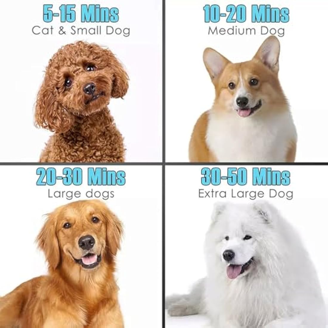 Dog Hair Dryer, 2800W Dog Blaster Dryer, Pet Grooming Hair Dryer, Stepless Speed Pet Dryer Blower with 4 Different Nozzles and Extendable Hose, Low Noise Professional Pet Hair Dryer for Dogs (Blue)