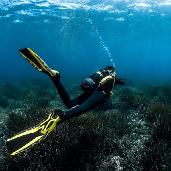 Aqualung PHAZER - Adult Diving Fins for all levels with innovative Wave Rib Technology, Balanced, Powerful, Hydrodynamic Design, Ideal for Scuba Diving, Snorkelling