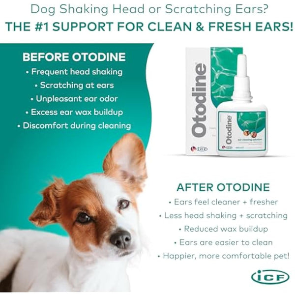 ICF Otodine | Cat & Dog Ear Cleaner Solution | Dog Ear Drops to Stop Wax Build Up, Head Shaking, Discomfort, Ear Odour & Scratching | 100ml