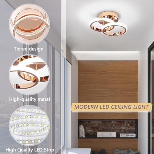 EIDISUNY LED Ceiling Light Modern Lamp Gold Round Simple Fixture for Corridor Kitchen Stairs Hallway Study Room Bedroom Living Room - Chrome Gold 22W Cool White Light 6000K